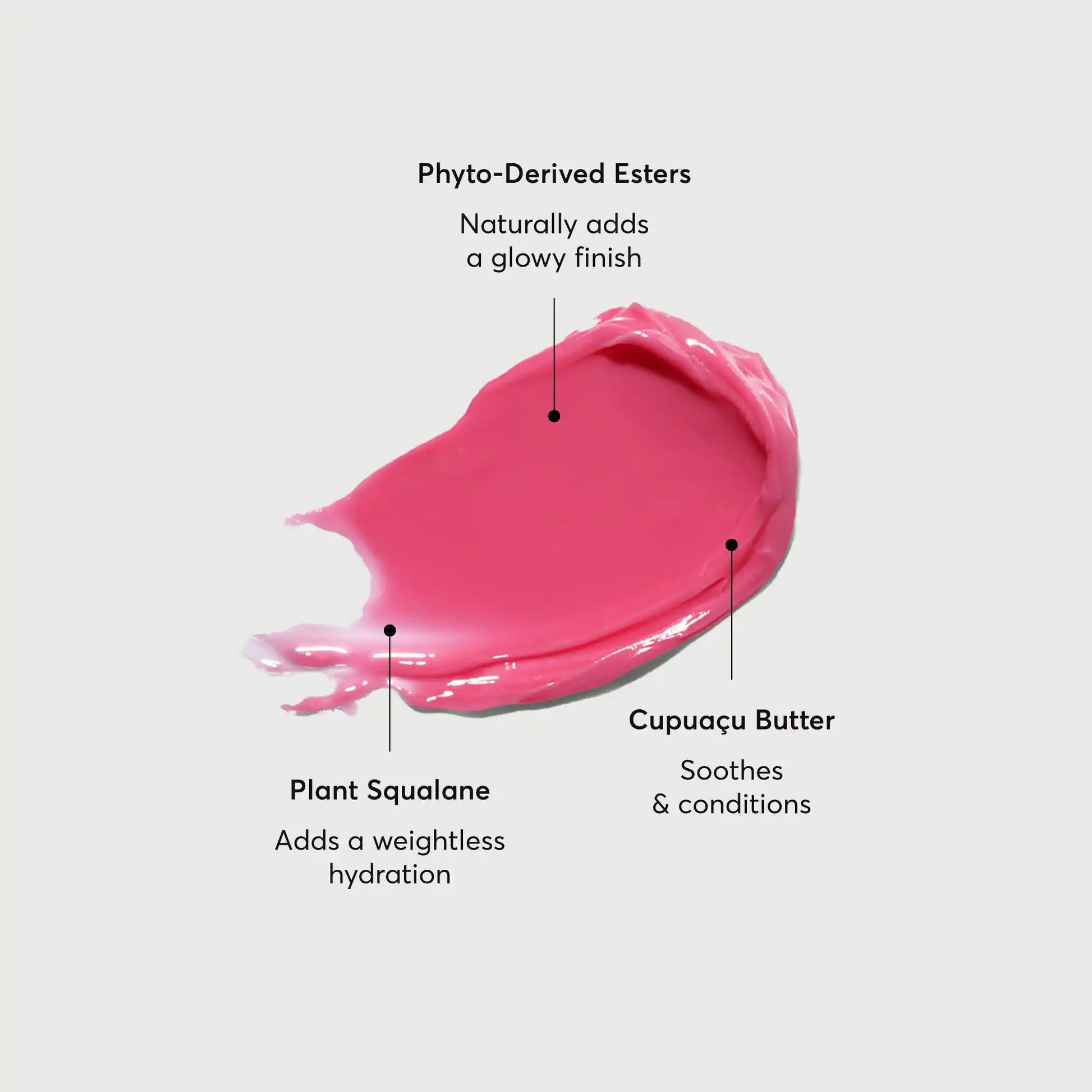 phyto-glow-lip-balm-camellia-s7 NATR-60075-Alt-Images-Phyto-Glow-Lip-Balm-Camellia-01.webp